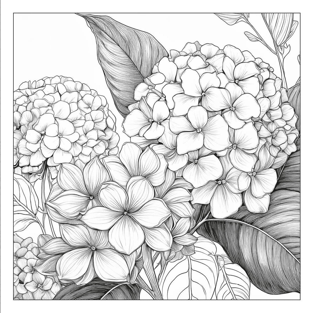 Exquisite Flowers – floral adult coloring book with detailed hydrangea  bouquet | MATI Publishing