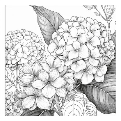 Exquisite Flowers – floral adult coloring book with detailed hydrangea  bouquet | MATI Publishing