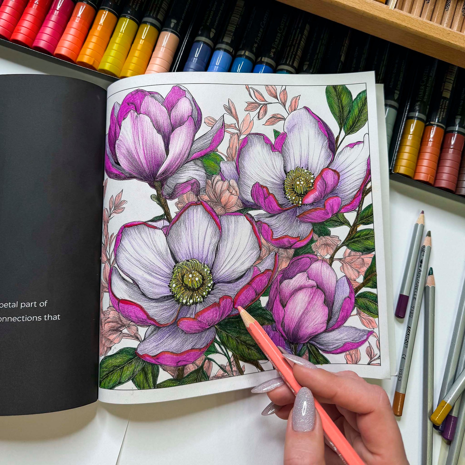 Exquisite Flowers – detailed floral line art drawing in-progress | adult coloring | MATI Publishing